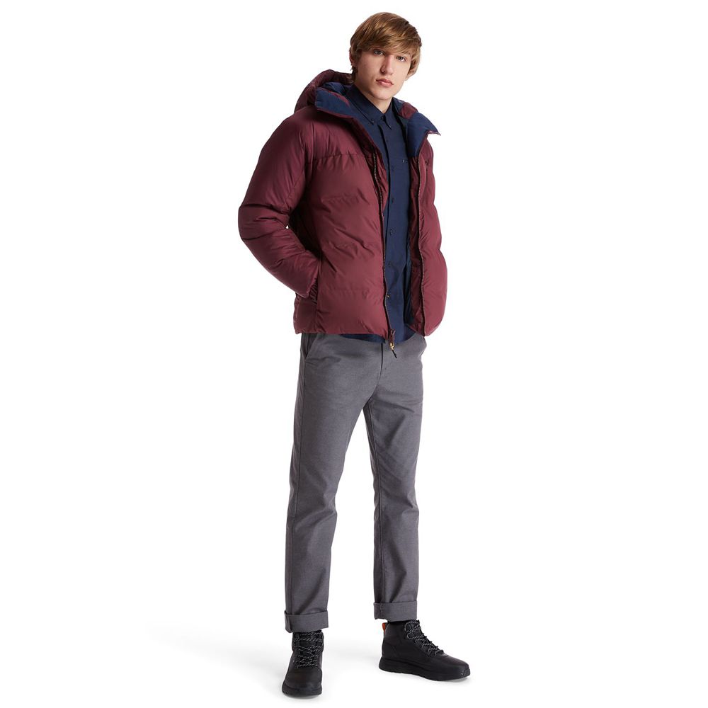 Chaquetas Timberland Hombre Neo Summit Sin Capucha Invierno Burdeos - Chile VCY-247086